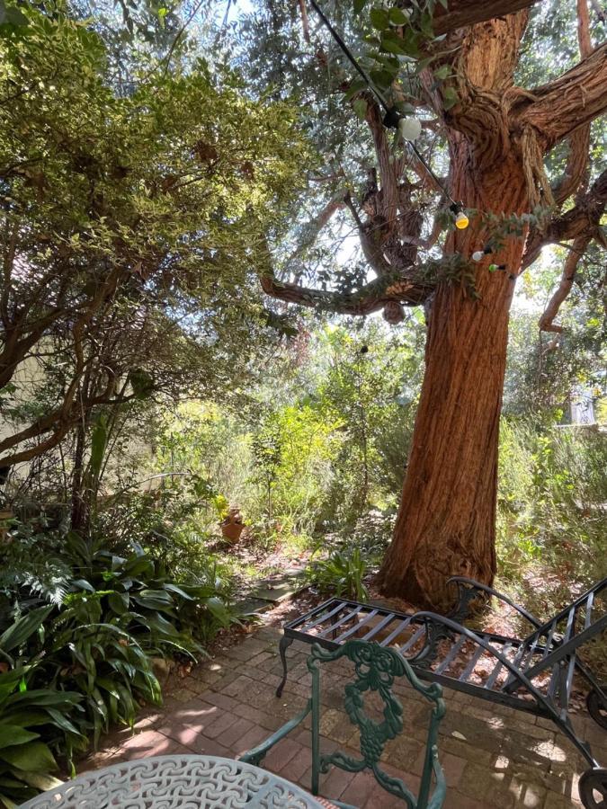 Constantia Guest House ケープタウン エクステリア 写真